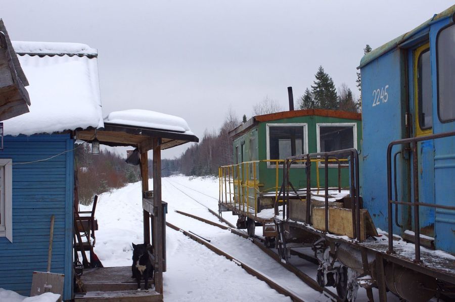 Московские туристы приехали в Костромскую область и на мотовозе врезались в грузовой поезд
