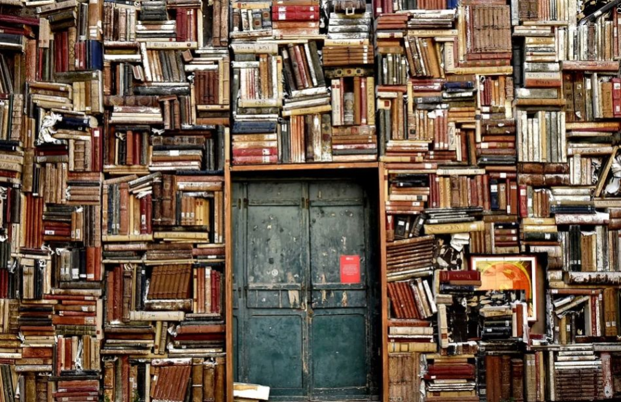Костромичи завалили библиотеку любимыми книгами в День всех влюблённых