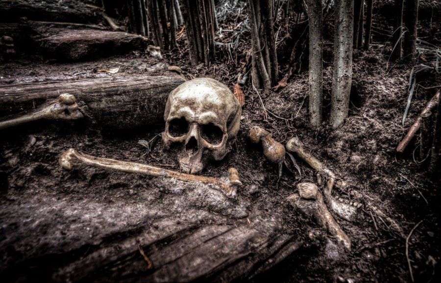 Вокруг кости и черепа: в Костромской области обнаружили долину смерти