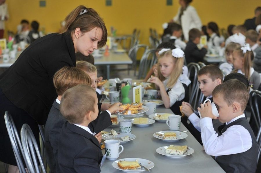 Картошка-фри и кола: костромские школьники сами создадут меню бесплатных обедов