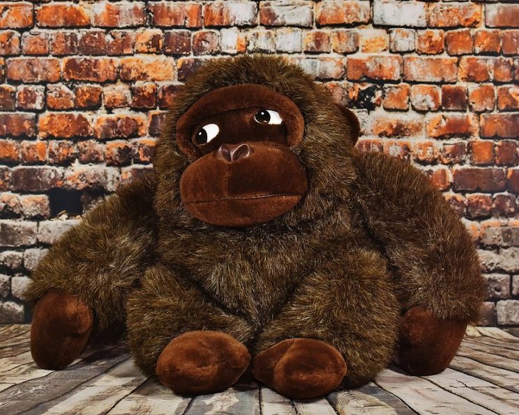 Игрушечная обезьяна стала доказательством исчезновения денег нацпроекта «Образование» в Костроме