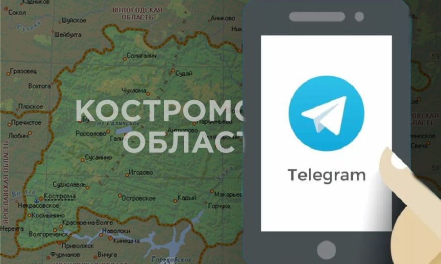 Всех пользователей запрещенного Telegram  пересчитали в Костроме