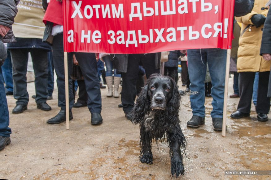Костромская область загремела в рейтинг протестных регионов страны