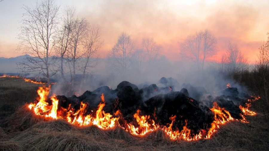 Костромская область начала интенсивно гореть из-за самих же жителей