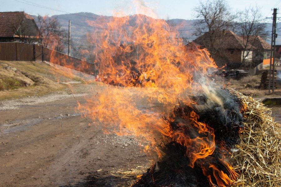 Более полусотни костромских деревень боятся сгореть из-за лесных пожаров