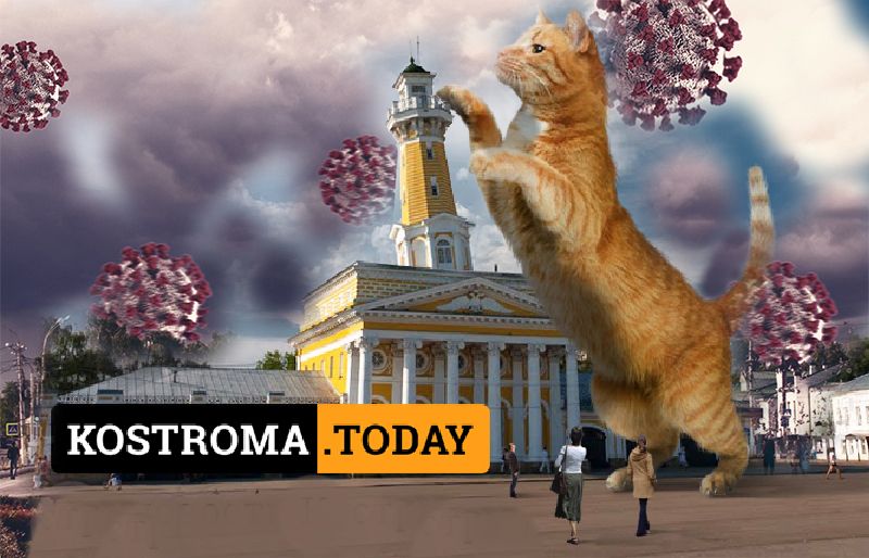 Власти разрабатывают экстренный план спасения экономики Костромской области