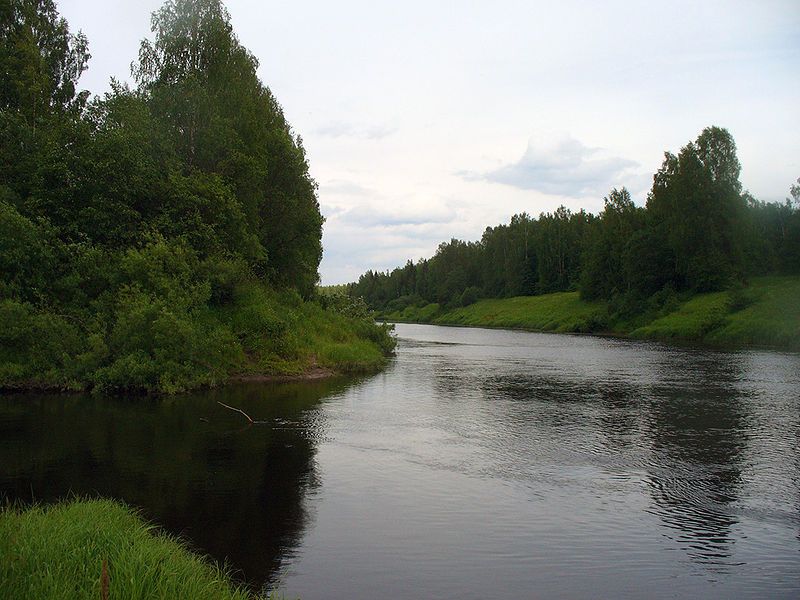 Проклятую и опасную реку обнаружили в Костромской области