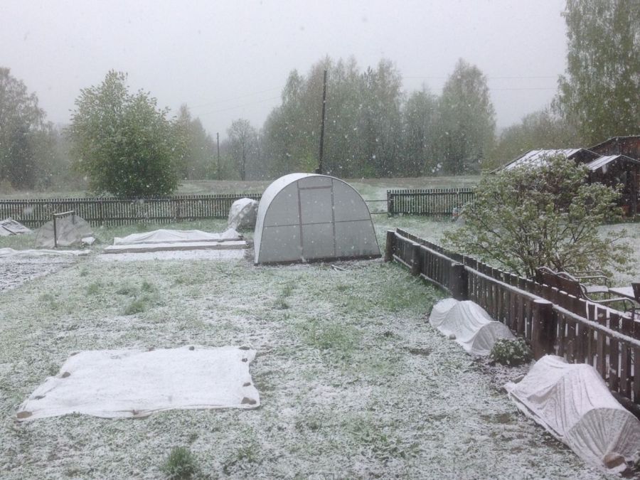 Костромскую область замело снегом в конце мая