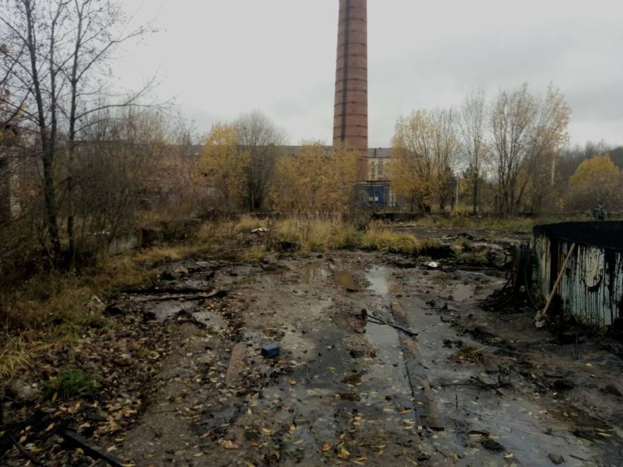 Полиция заинтересовалась отравленной землей под Костромой