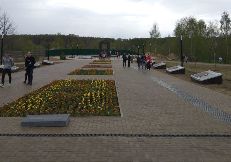 Костромские парки собираются украшать клумбами с капустой и табаком