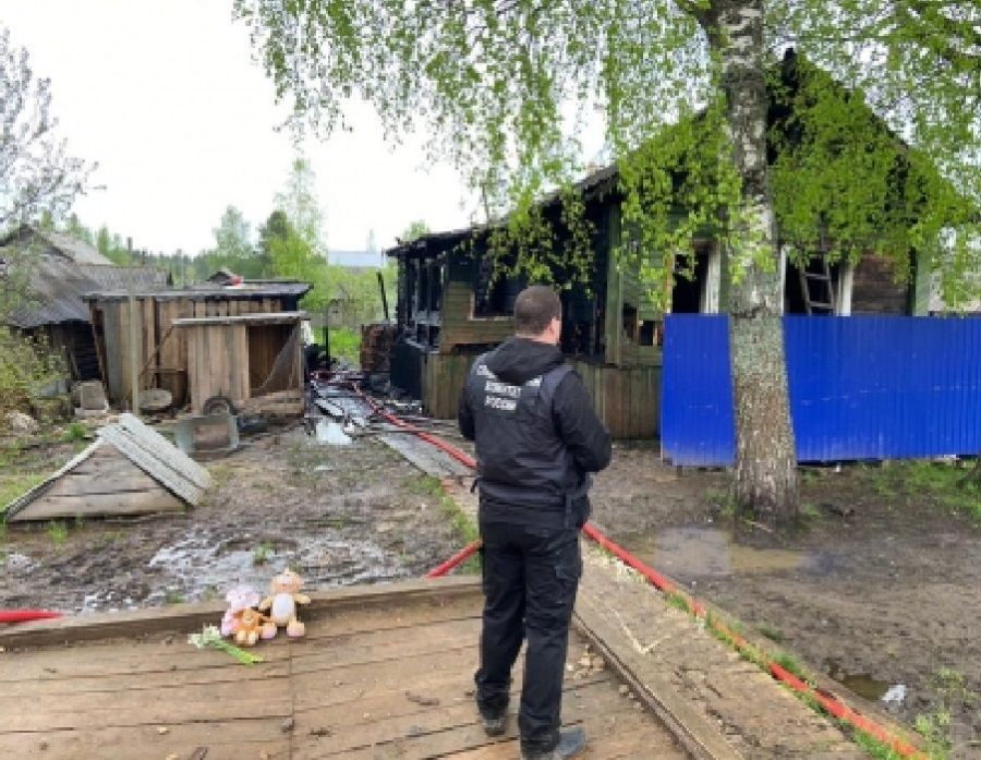 Следователи раскрыли причину гибели детей на пожаре в Костромской области