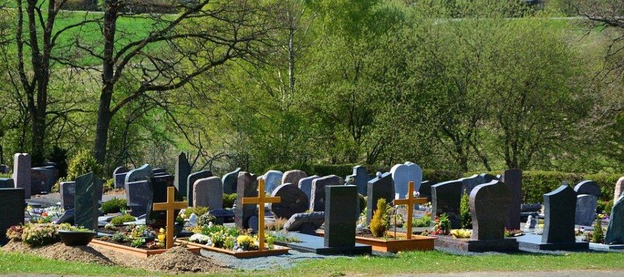 Строительством нового кладбища займутся бизнесмены