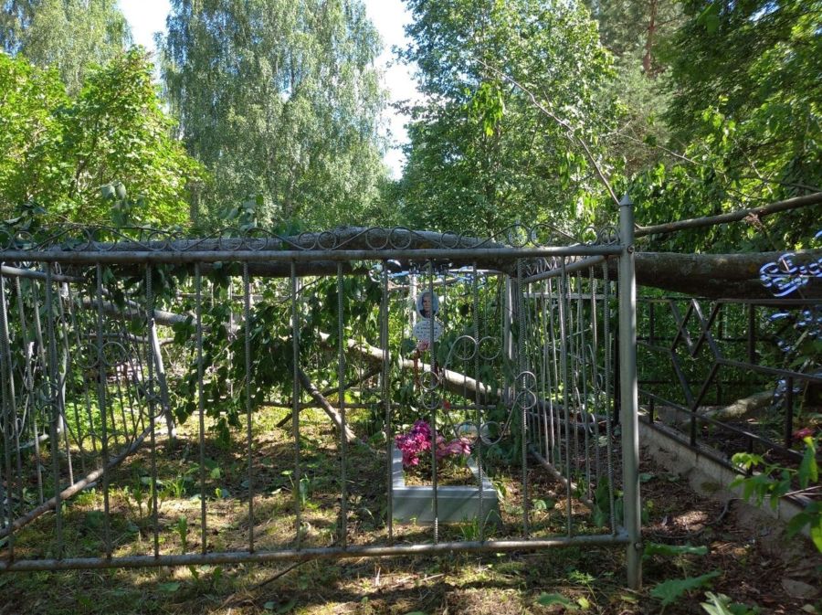 Ужасный ветер поломал кресты на кладбище под Костромой