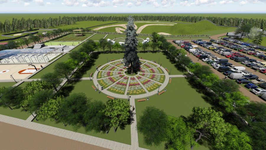 Уникальный костромской парк появится рядом с кладбищем