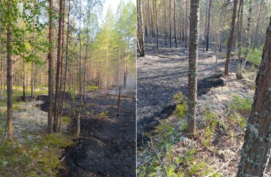 Удар молнии стал причиной крупного лесного пожара в Костромской области