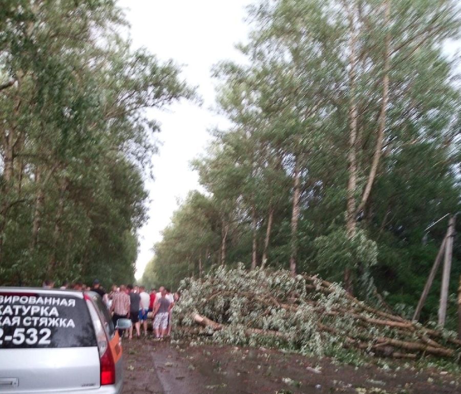 Упавшее во время урагана дерево перекрыло важную дорогу под Костромой
