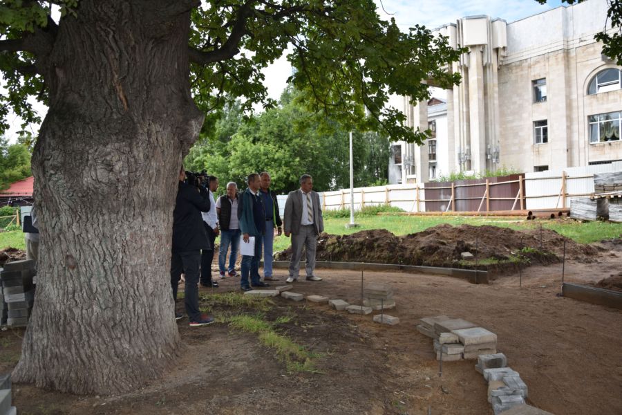 Чиновники запретили чиновникам убивать 150-летний дуб в Костроме