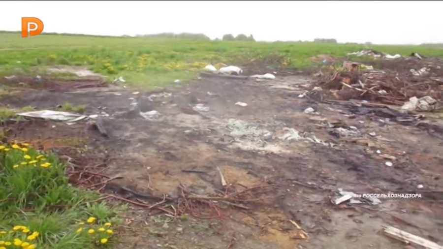 Грядки с ядовитой землёй обнаружили в Костромской области