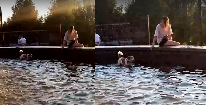 Детей в знаменитом фонтане Костромы сменили собаки