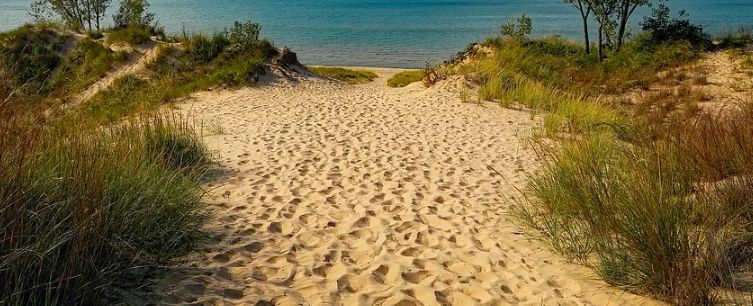Нудистский пляж обнаружили в Костромской области