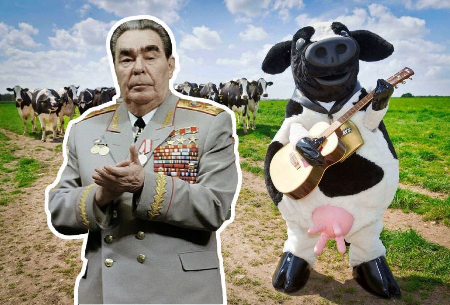 Костромские коровы прекратили исчезать впервые со времен Брежнева