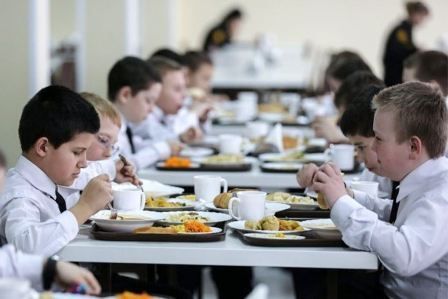 Костромским ученикам начальных классов бесплатно дадут мясо и рыбу