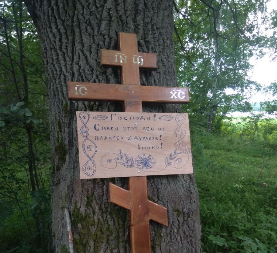 Костромичи вознесли молитву о спасении леса от дураков-чиновников