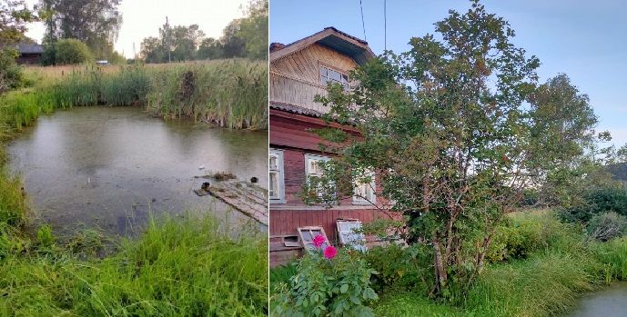 Пятилетний ребёнок утонул в пруду в Костромской области