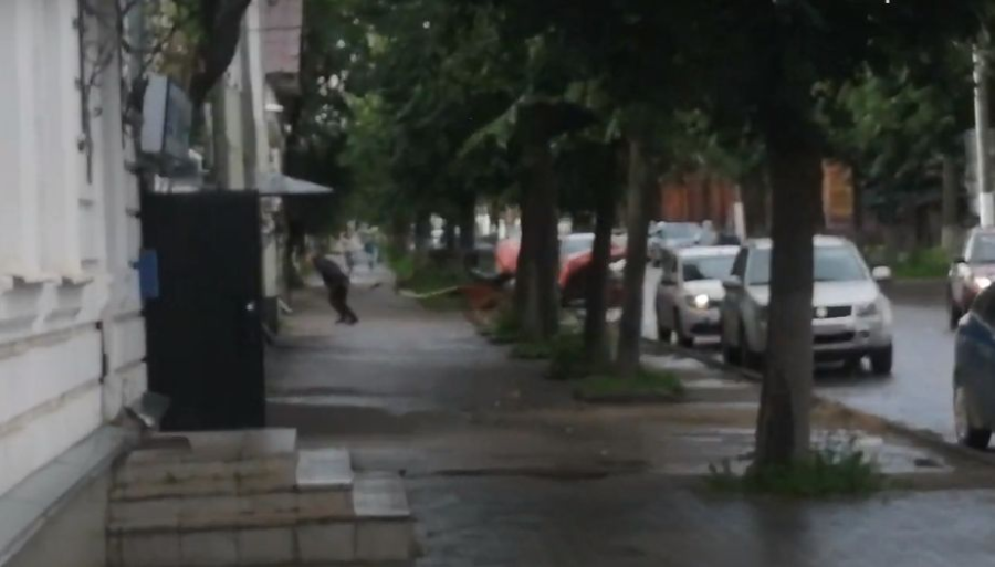 Мужчина в центре Костромы запряг себя в карету вместо лошади