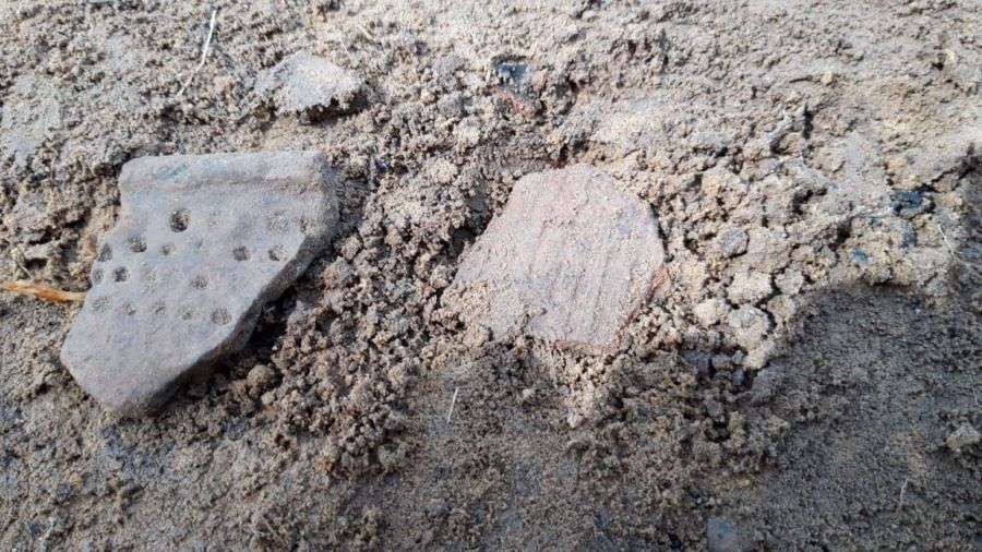 Костромская трава 3,5 тысячи лет скрывала уникальные артефакты