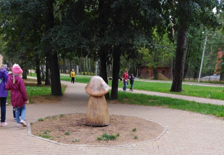 Пошлые костромичи возмутились грибу в парке Костромы
