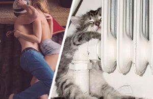 Секс и кот против ТГК-2: как костромичи греются в холодных квартирах