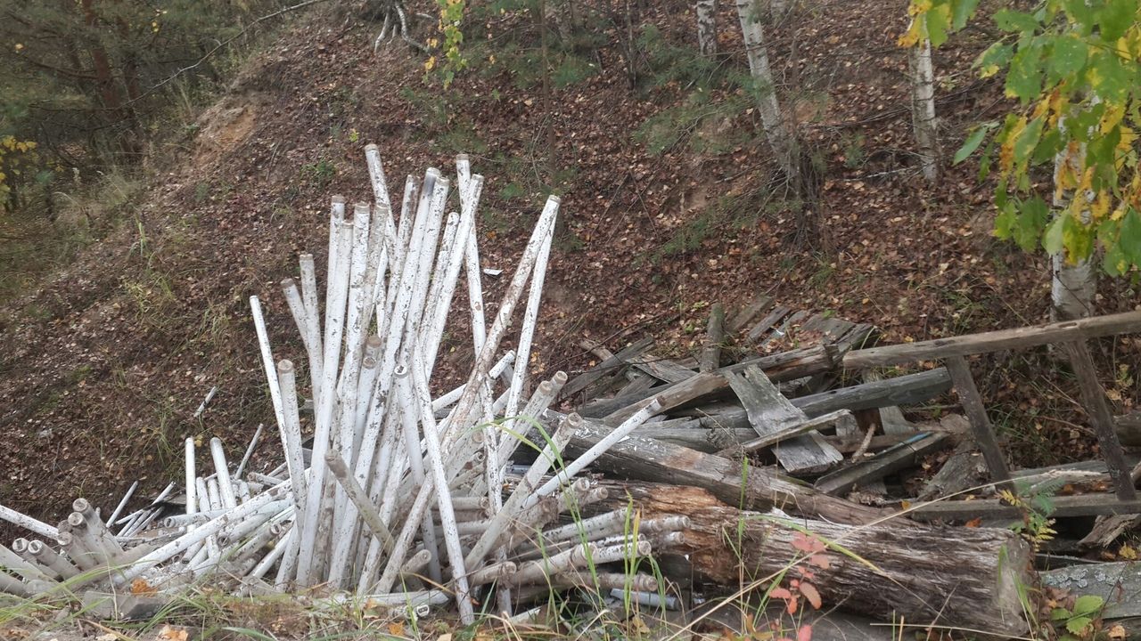 Полиция заинтересовалась залежами ртути в лесу под Костромой