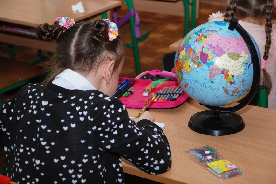 Псевдотсуга Мензиса и мир глазами бурундука: какие задания выполняют костромские школьники
