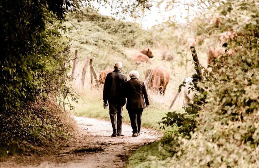 Пенсионерам разрешат один день не платить за прогулки в костромском зоопарке