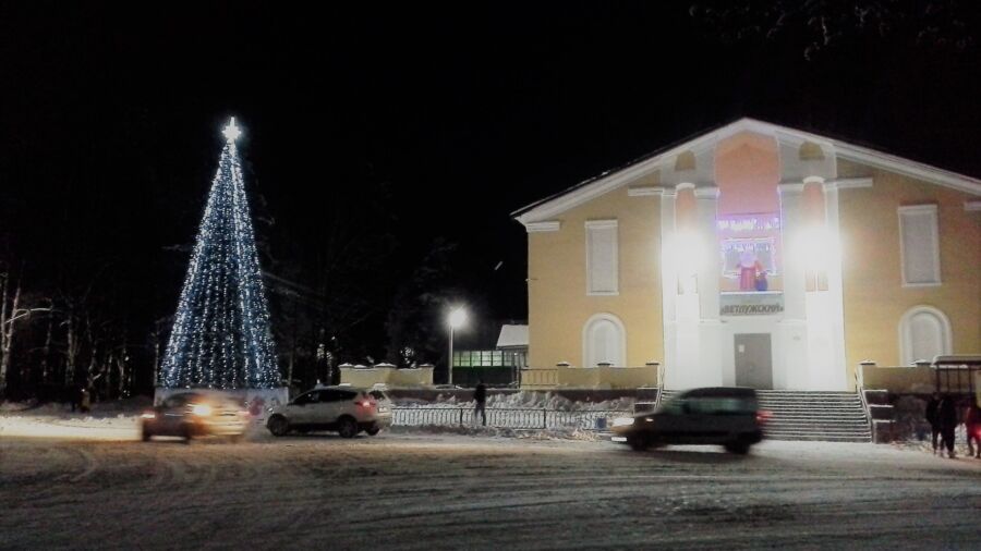 Костромские чиновники купят елку за 2 миллиона рублей