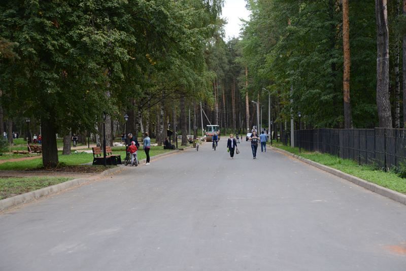Костромичам перекроют въезд в Берендеевку из-за экологов и спортсменов