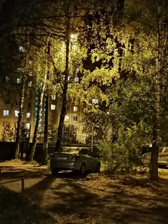 Уличные фонари в Костроме прячутся от стыда за деревья