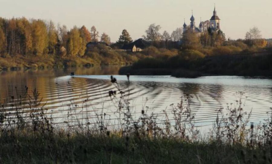 Костромские деревни признали самыми красивыми в России