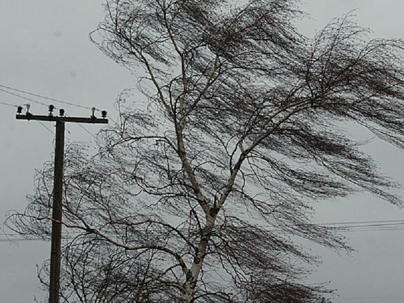 Сильный ветер и дождь обрушатся на Костромскую область