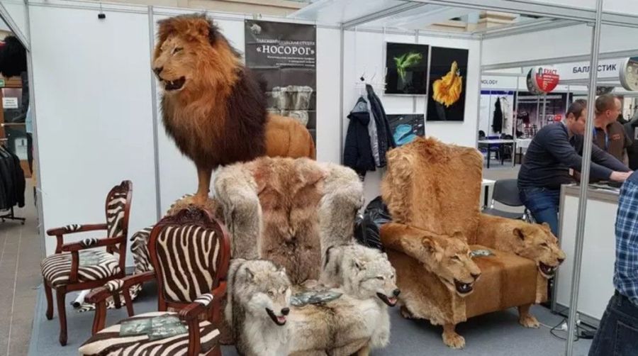Костромские производители бесплатно поучаствовали на крупнейшей охотничьей выставке в Москве