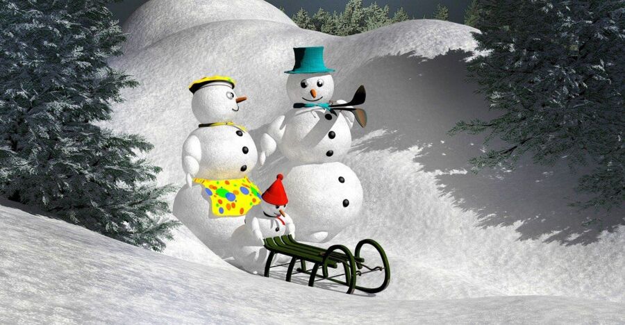 Снеговик домогался молодую мать на детском празднике в Костроме