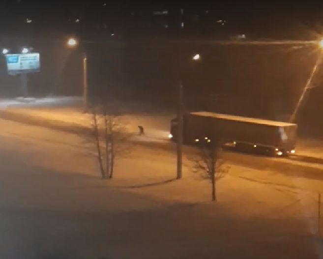 Радоваться или нет: снежные заносы не дают фурам проехать через Кострому