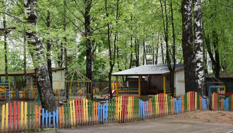 Костромским детсадовцам угрожают опасные деревья
