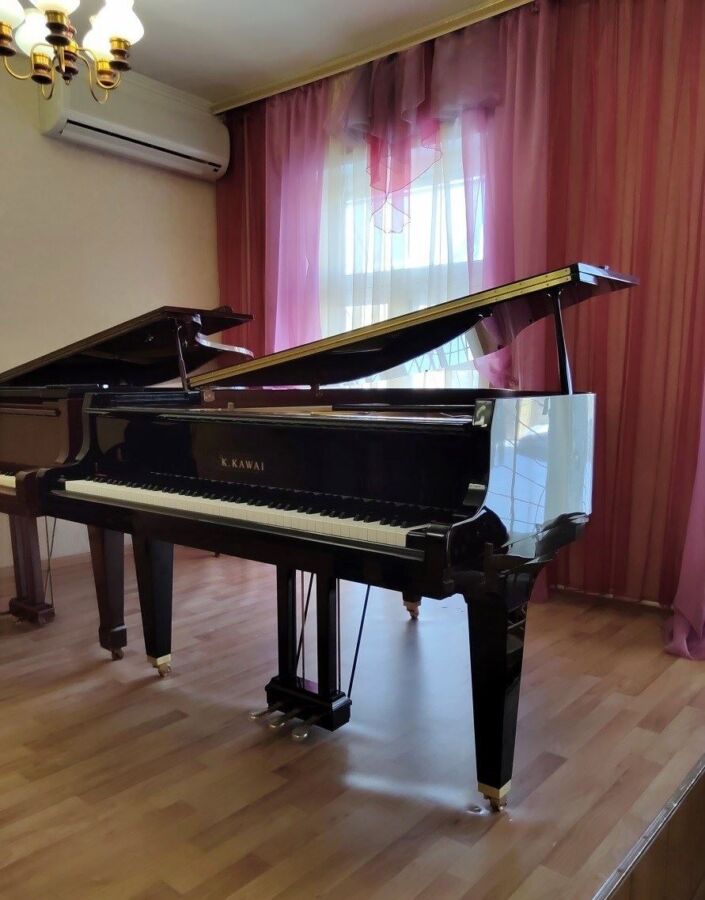 Костромским школьникам привезли рояль из Японии за 1,5 миллиона рублей