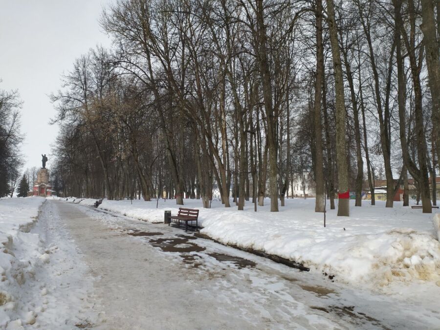 Парк Ленина в Костроме закрывают для посещения на два года