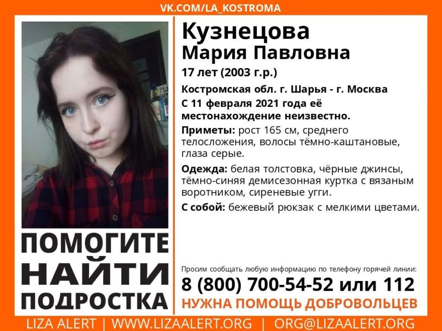 Девочка с серыми глазами таинственно исчезла в Костромской области