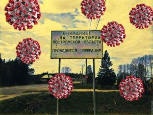 Коронавирус позволил расцвести преступности в Костромской области