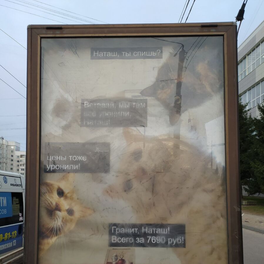 Похоронщики в Костроме зазывают клиентов мемами с котами