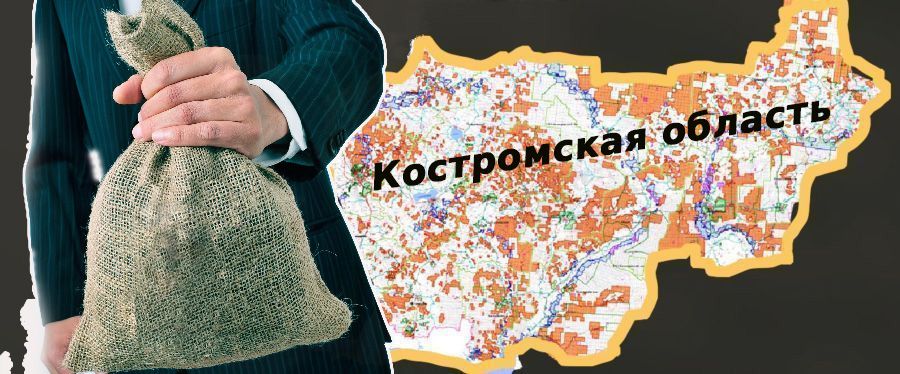 Названы 5 крупнейших налогоплательщиков Костромской области